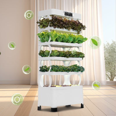 Veggiefloe-Hydroponisches System ️ Frisches, gesundes und nachhaltiges Gemüse, das zu Hause angebaut wird