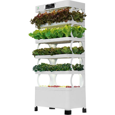 Veggiefloe Smart Hydroponic Vegetable System - Die beste Wahl für gesundes Gemüse