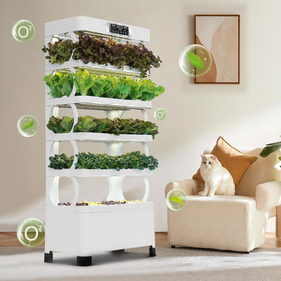 Veggiefloe Hydroponic System für Schulen: Hands-On-Lernen und gesunde Ernährung für Kinder